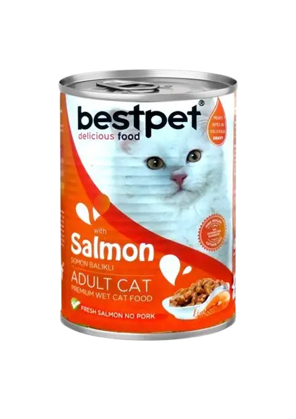 Cat Food
