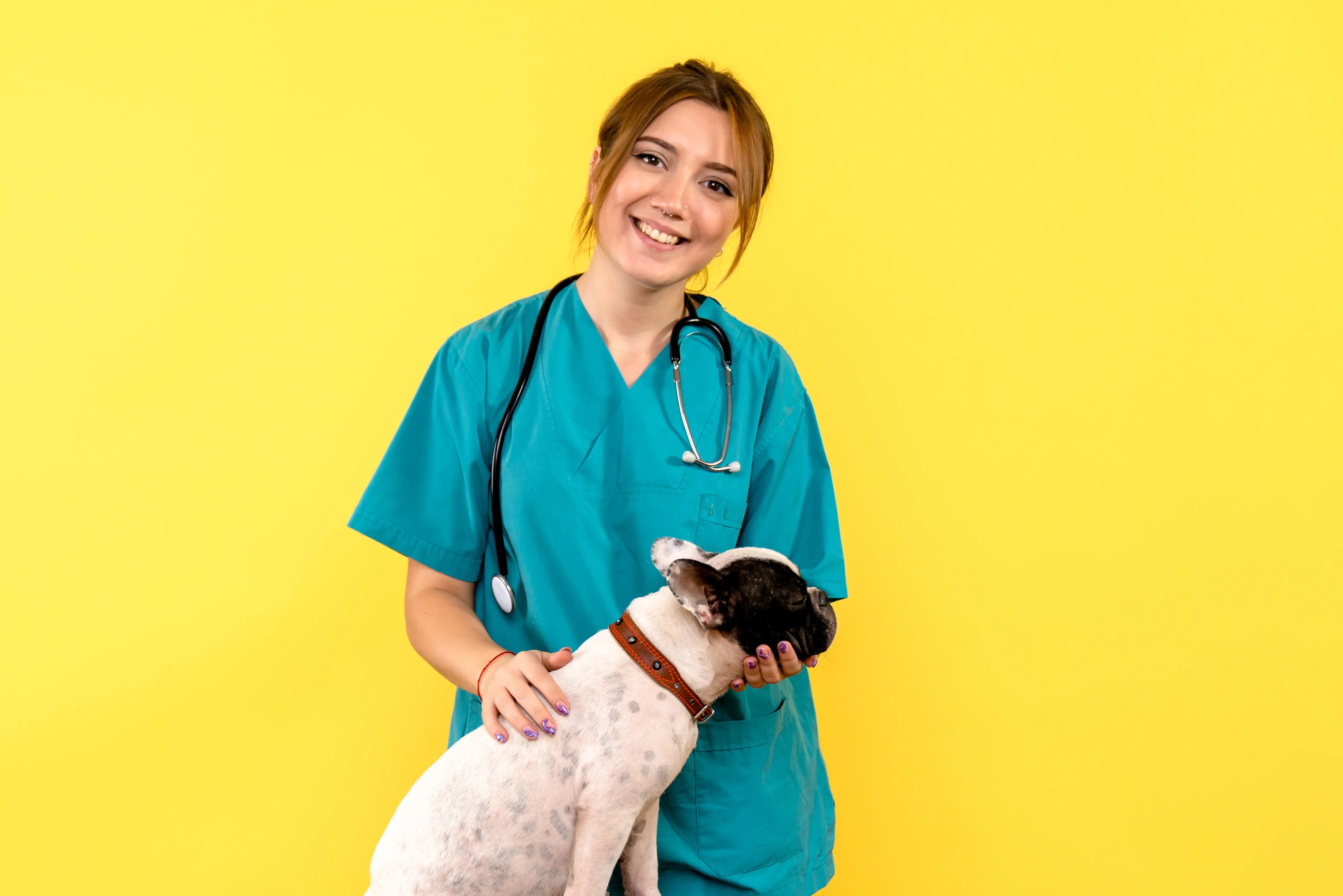 Female vet observing a small dog